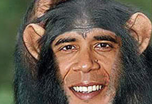 Čeleď - Obama Ohavný